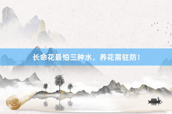 长命花最怕三种水，养花需驻防！